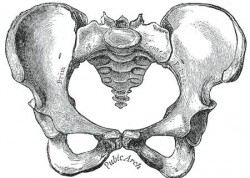 Baş pelvis uygunsuzluğu (BPU, CPD) Baş pelvis uygunsuzluğu (BPU, CPD)