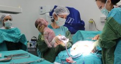 Normal Doğum Mu, Sezaryen Mi? İşte Cevaplar