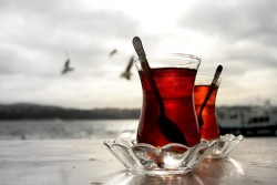 çayın faydaları ve zararları