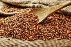 Karabuğday (greçka) nedir ve faydaları nelerdir? Karabuğday (greçka) nedir ve faydaları nelerdir?