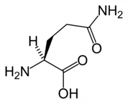 glutamin nedir, l-glutamin takviyesi hangi durumlarda kullanılır