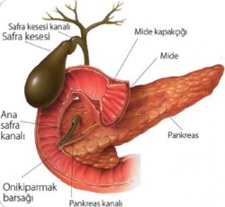 safra kesesi iltihabı