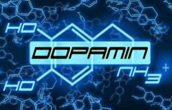 Dopamin nedir, Dopamin doğal yollarla nasıl arttırılır
