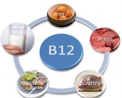 B12 vitamini hakkında gerçekler