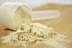 protein tozları