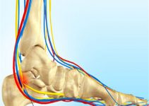 Ayakta Yanma Şeker nedeni ve Vitamin eksikliği Olabilir Ayakta Yanma Şeker nedeni ve Vitamin eksikliği Olabilir