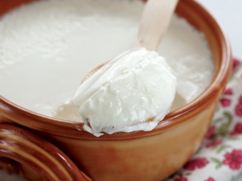 yogurt