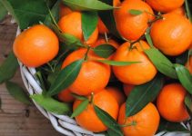Mandalina Neye İyİ Gelir, Faydaları Nelerdir? Mandalina Neye İyİ Gelir, Faydaları Nelerdir?