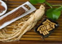 Ginseng bitkisi, Ginkgo Biloba ve Sibirya Ginsengi faydaları Ginseng bitkisi, Ginkgo Biloba ve Sibirya Ginsengi faydaları