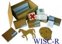 Zeka ölçeği Wisc-R nedir? Zeka ölçeği Wisc-R nedir?