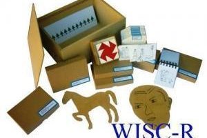 Zeka ölçeği Wisc-R nedir?