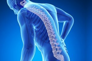 Kemik erimesi Osteoporoz nedir, neden olur?