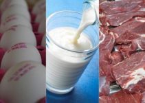 Kabızlık yapan yiyecekler hangileridir? Kabızlık yapan yiyecekler hangileridir?