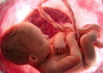 Düşük Nedenleri Nelerdir? Düşük Nedenleri Nelerdir?