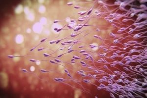 Sperm Sayısı Nasıl Artar?
