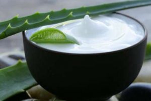 Aloe Veranın sağlığa faydaları