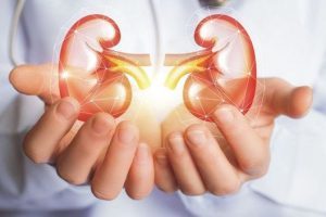 Böbrek nakli nedir?