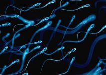 Normal sperm değerleri ve spermlerin canlı kalma süresi Normal sperm değerleri ve spermlerin canlı kalma süresi