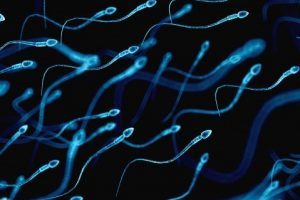 Normal sperm değerleri ve spermlerin canlı kalma süresi