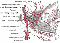 Temporal arterit nedir? Neden olur, belirtileri ve tedavisi Temporal arterit nedir? Neden olur, belirtileri ve tedavisi