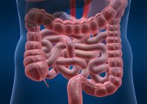 Rahat Bir Hayat İçin: İBS Diyeti ve FODMAP Tedavisi Rehberi Rahat Bir Hayat İçin: İBS Diyeti ve FODMAP Tedavisi Rehberi